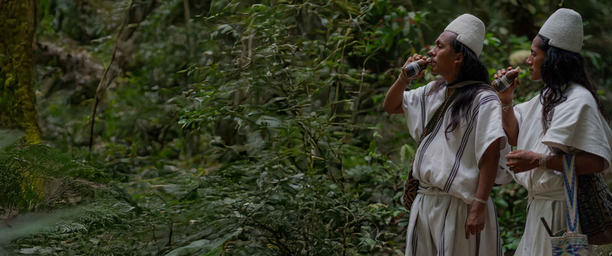 Why does the elixir work better?